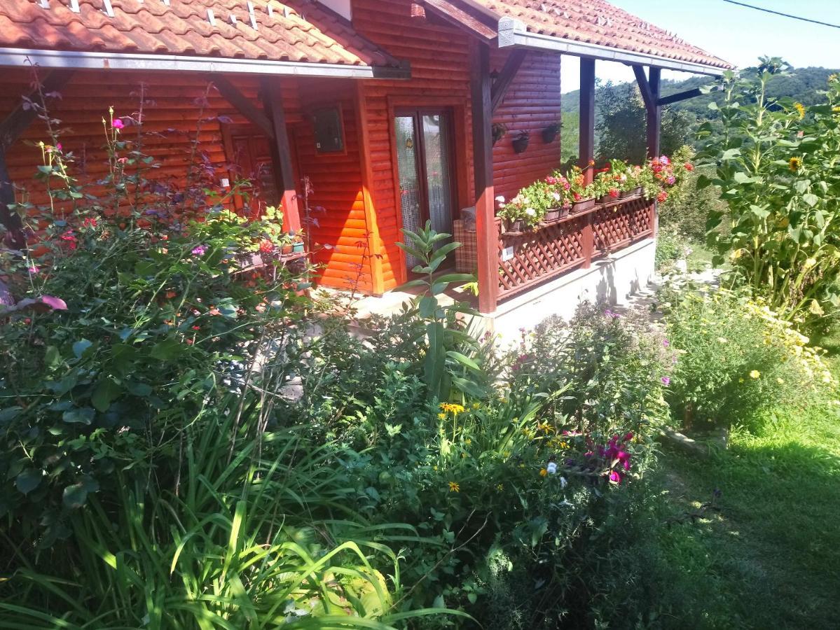 Guest House Little Heaven Užice Buitenkant foto